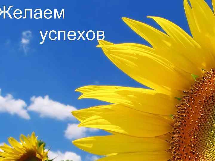 Желаем успехов 