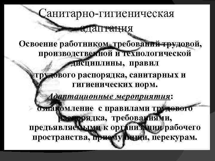 Санитарно-гигиеническая адаптация Освоение работником требований трудовой, производственной и технологической дисциплины, правил трудового распорядка, санитарных