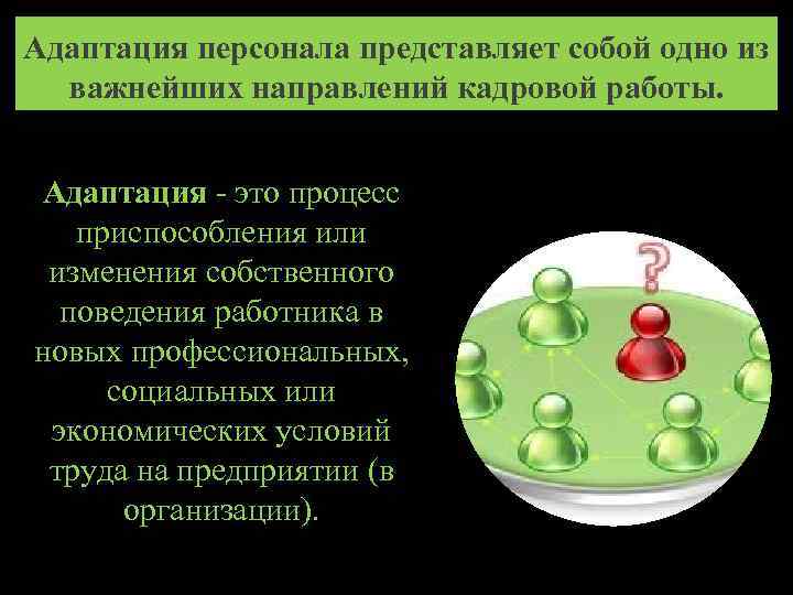 Адаптация персонала представляет собой одно из важнейших направлений кадровой работы. Адаптация - это процесс