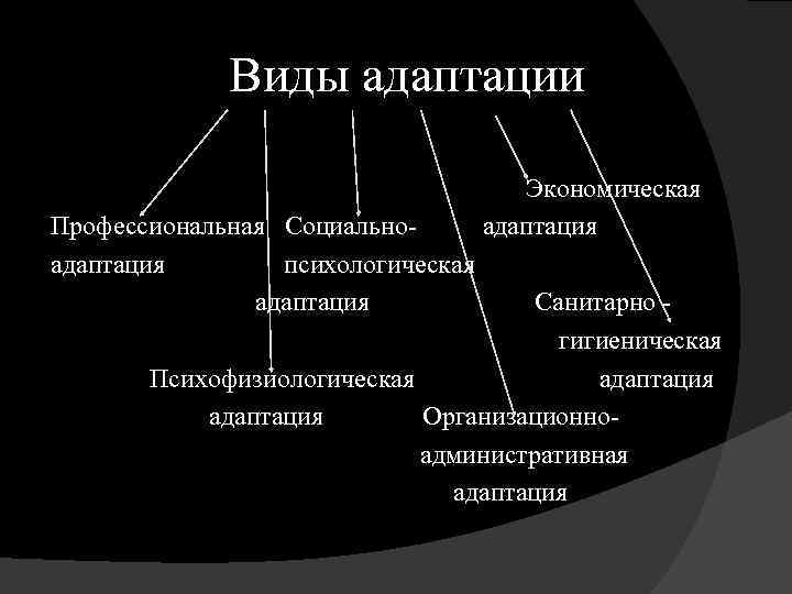 Виды адаптации Экономическая Профессиональная Социально- адаптация психологическая адаптация Санитарно гигиеническая Психофизиологическая адаптация Организационно административная