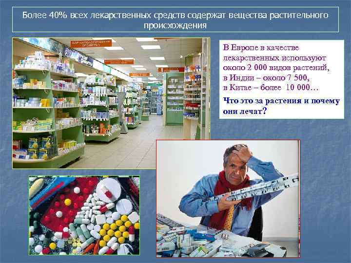 Более 40% всех лекарственных средств содержат вещества растительного происхождения В Европе в качестве лекарственных