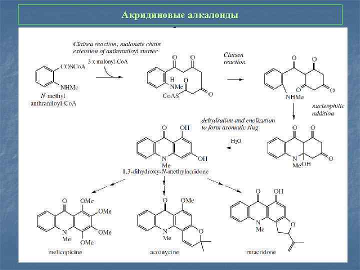 Акридиновые алкалоиды 
