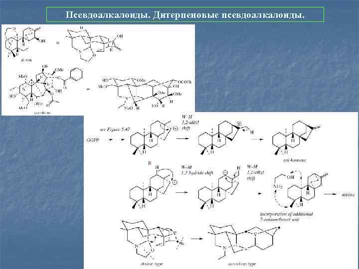 Псевдоалкалоиды. Дитерпеновые псевдоалкалоиды. 