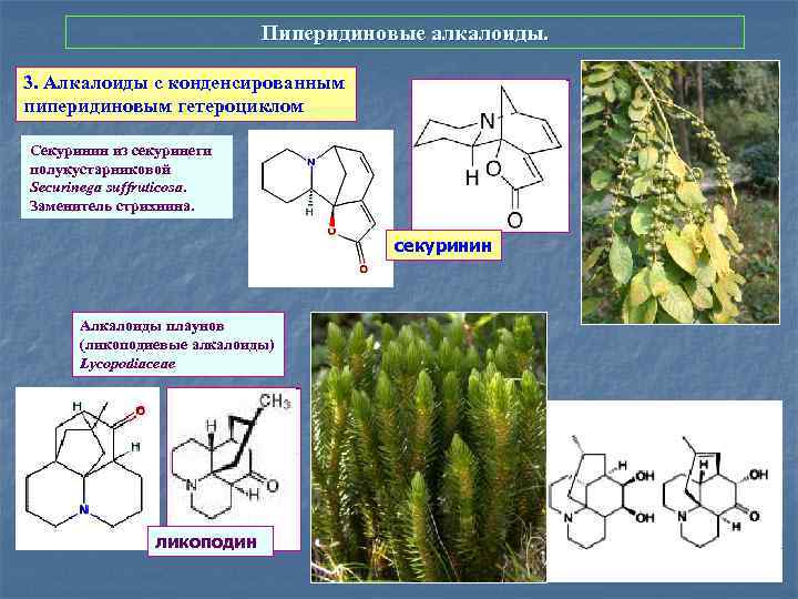 Запасными веществами растений являются