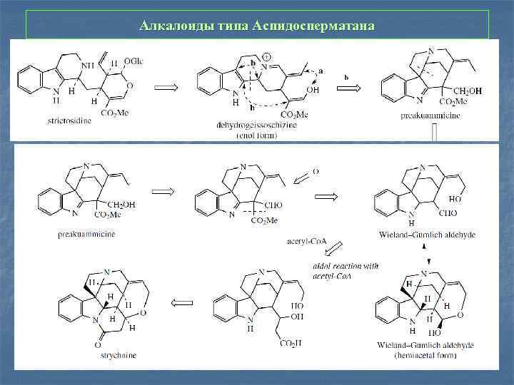 Алкалоиды типа Аспидосперматана 