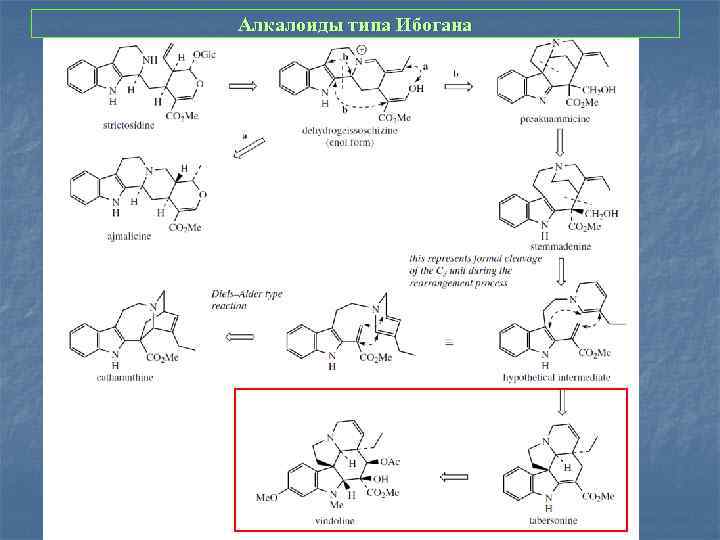 Алкалоиды типа Ибогана 