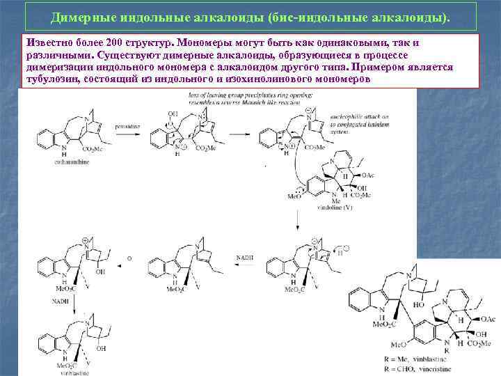 Димерные индольные алкалоиды (бис-индольные алкалоиды). Известно более 200 структур. Мономеры могут быть как одинаковыми,