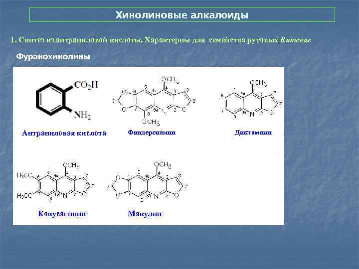 Хинолиновые алкалоиды 1. Синтез из антраниловой кислоты. Характерны для семейства рутовых Rutaceae Фуранохинолины Антраниловая