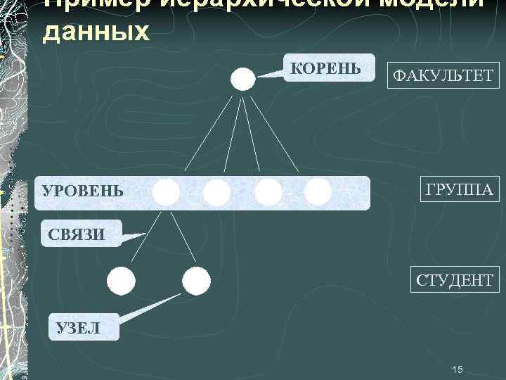 Пример иерархической модели данных КОРЕНЬ УРОВЕНЬ ФАКУЛЬТЕТ ГРУППА СВЯЗИ СТУДЕНТ УЗЕЛ 15 
