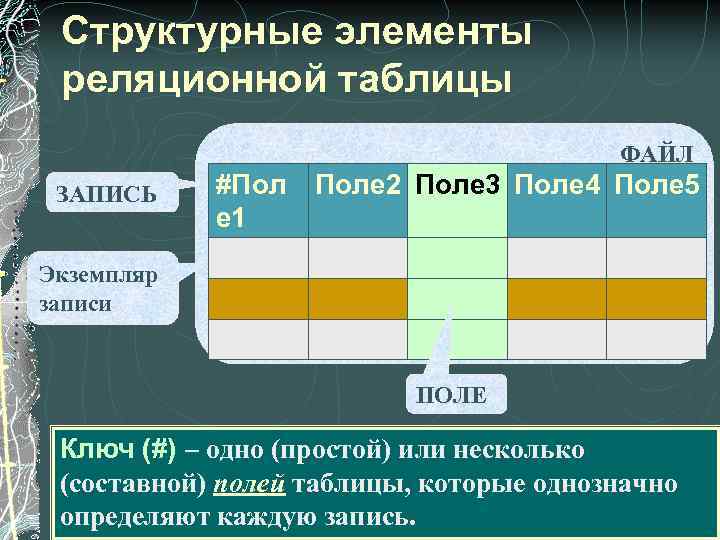 Структурные элементы реляционной таблицы ФАЙЛ ЗАПИСЬ #Пол е 1 Поле 2 Поле 3 Поле