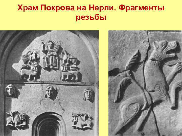 Храм Покрова на Нерли. Фрагменты резьбы 