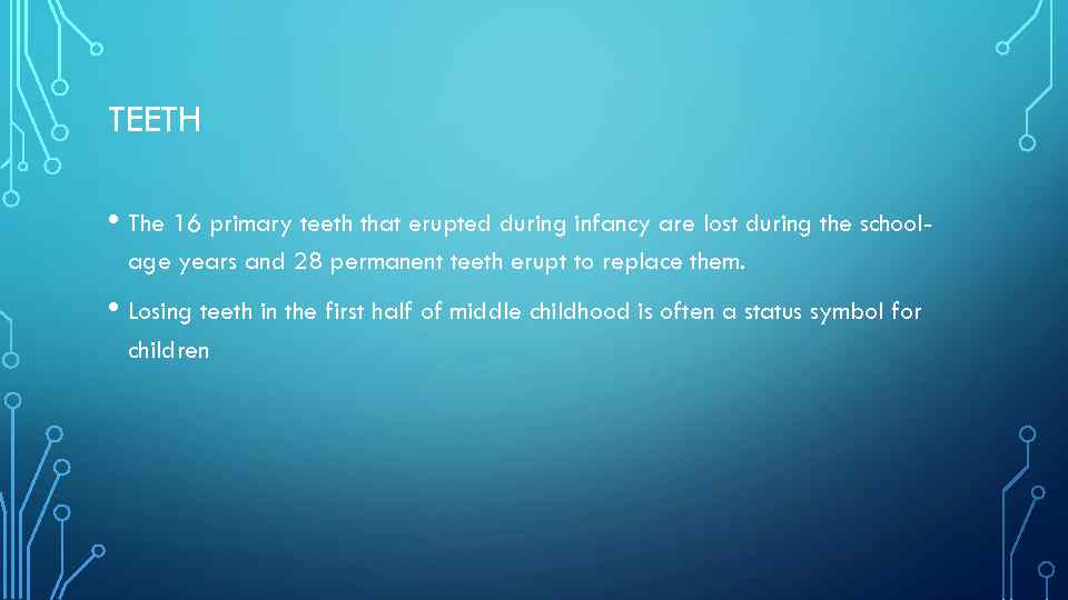 TEETH • The 16 primary teeth that erupted during infancy are lost during the