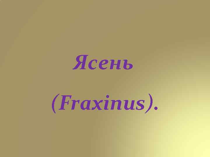 Ясень (Fraxinus). 