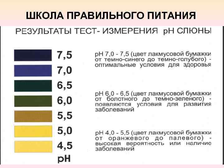 ШКОЛА ПРАВИЛЬНОГО ПИТАНИЯ 