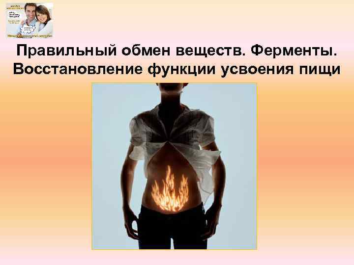 Правильный обмен веществ. Ферменты. Восстановление функции усвоения пищи 