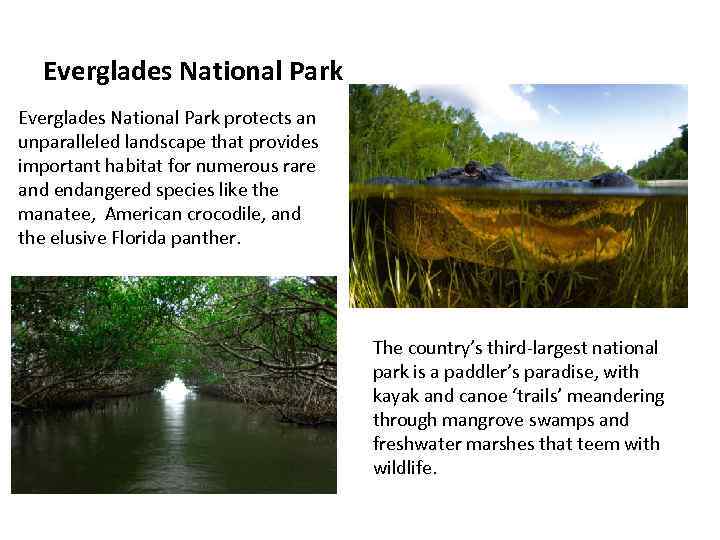 Everglades National Park protects an unparalleled landscape that provides important habitat for numerous rare