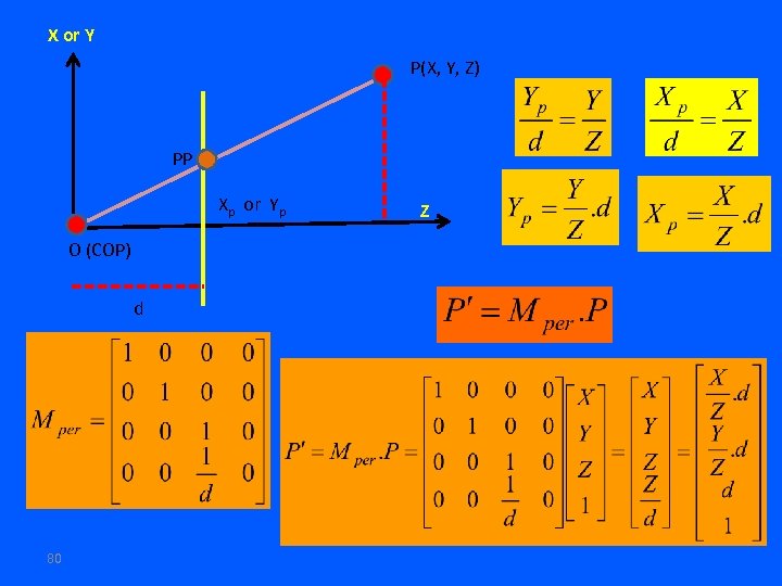 X or Y P(X, Y, Z) PP Xp or Yp O (COP) d 80