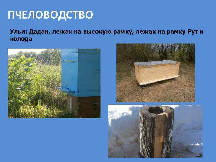 ПЧЕЛОВОДСТВО Ульи: Дадан, лежак на высокую рамку, лежак на рамку Рут и колода 