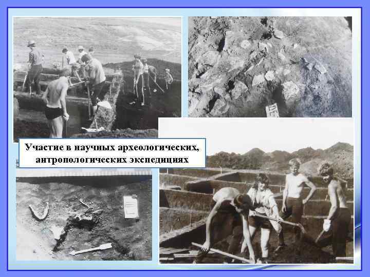 Участие в научных археологических, антропологических экспедициях 