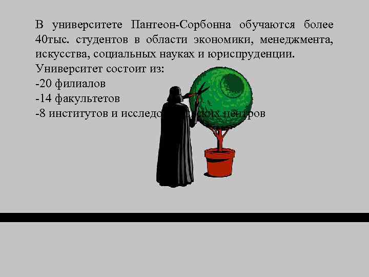 В университете Пантеон-Сорбонна обучаются более 40 тыс. студентов в области экономики, менеджмента, искусства, социальных