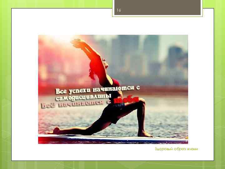 16 Здоровый образ жизни 