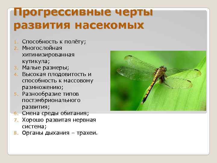 Прогрессивные черты развития насекомых 1. 2. 3. 4. 5. 6. 7. 8. Способность к