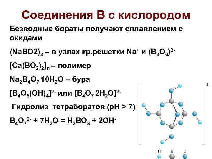 Соединения В с кислородом Безводные бораты получают сплавлением с окидами (Na. BO 2)3 –