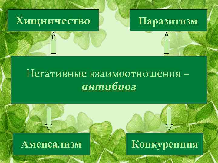 Хищничество Паразитизм Негативные взаимоотношения – антибиоз Аменсализм Конкуренция 