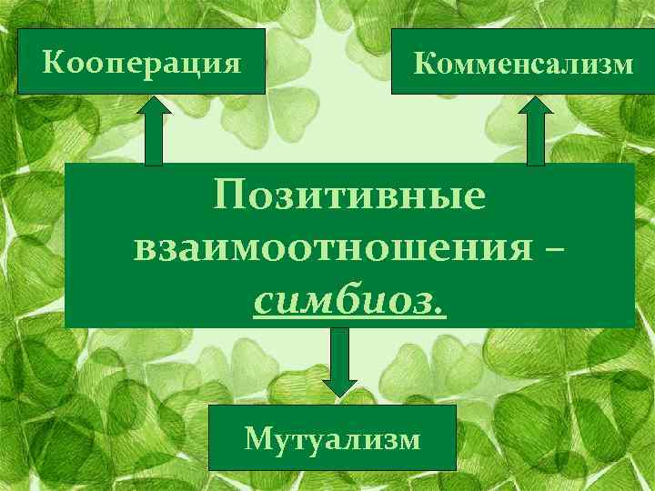 Кооперация Комменсализм Позитивные взаимоотношения – симбиоз. Мутуализм 