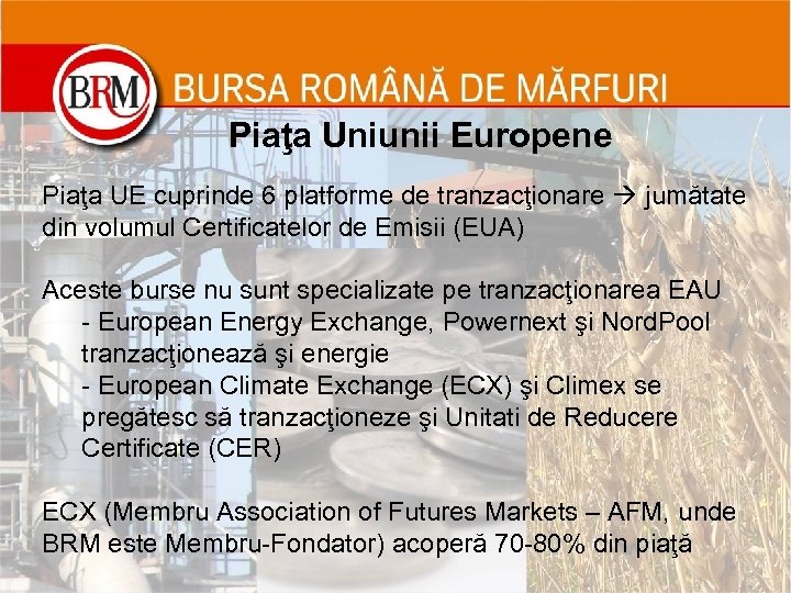 Piaţa Uniunii Europene Piaţa UE cuprinde 6 platforme de tranzacţionare jumătate din volumul Certificatelor