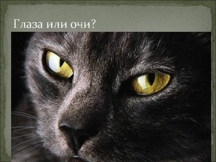 Глаза или очи? 