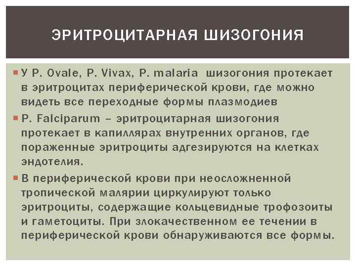 ЭРИТРОЦИТАРНАЯ ШИЗОГОНИЯ У P. Ovale, P. Vivax, P. malaria шизогония протекает в эритроцитах периферической