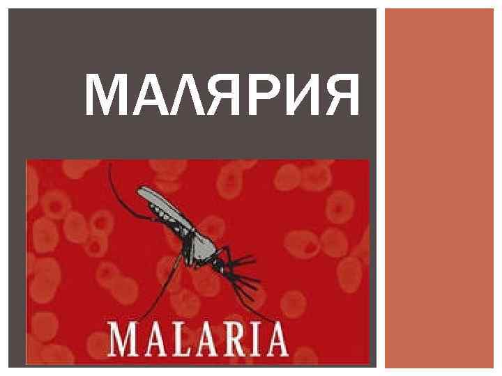 МАЛЯРИЯ 