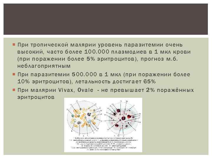 Прогностически неблагоприятными признаками при тропической малярии. Анализ крови при тропической малярии. Малярия уровень паразитемии. Количество эритроцитов при малярии. Как рассчитать уровень паразитемии при малярии.