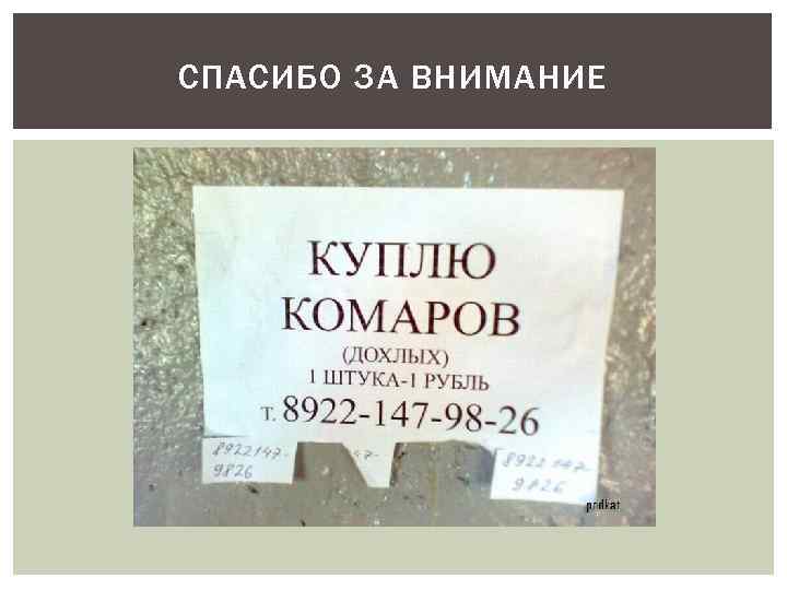 СПАСИБО ЗА ВНИМАНИЕ 