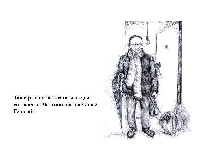 Так в реальной жизни выглядят волшебник Чертополох и пекинес Георгий. 