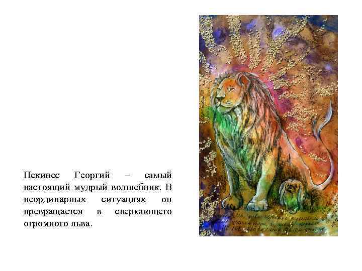 Пекинес Георгий – самый настоящий мудрый волшебник. В неординарных ситуациях он превращается в сверкающего