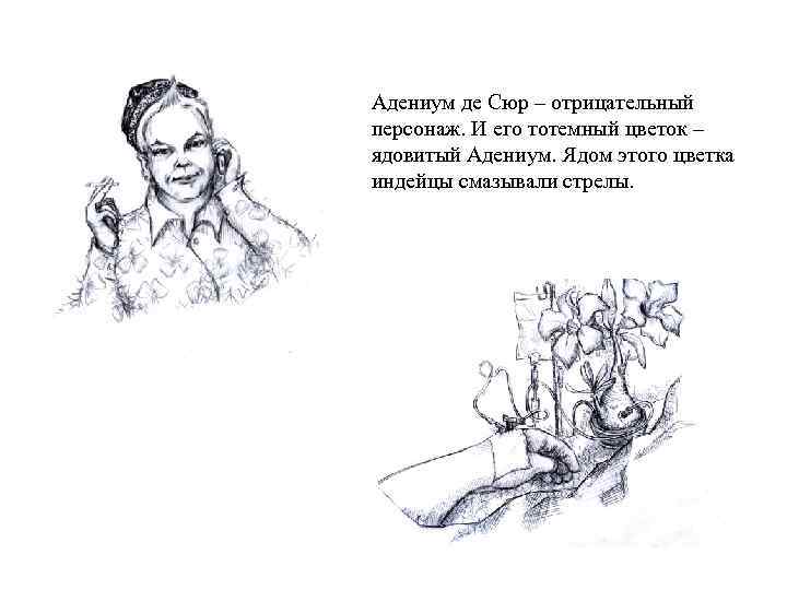 Адениум де Сюр – отрицательный персонаж. И его тотемный цветок – ядовитый Адениум. Ядом