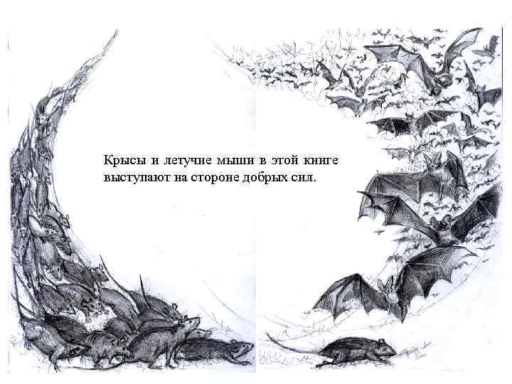 Крысы и летучие мыши в этой книге выступают на стороне добрых сил. 