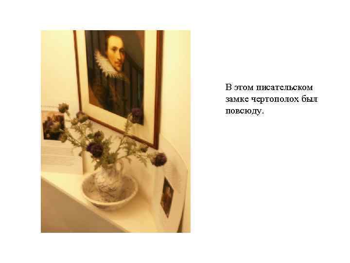 В этом писательском замке чертополох был повсюду. 