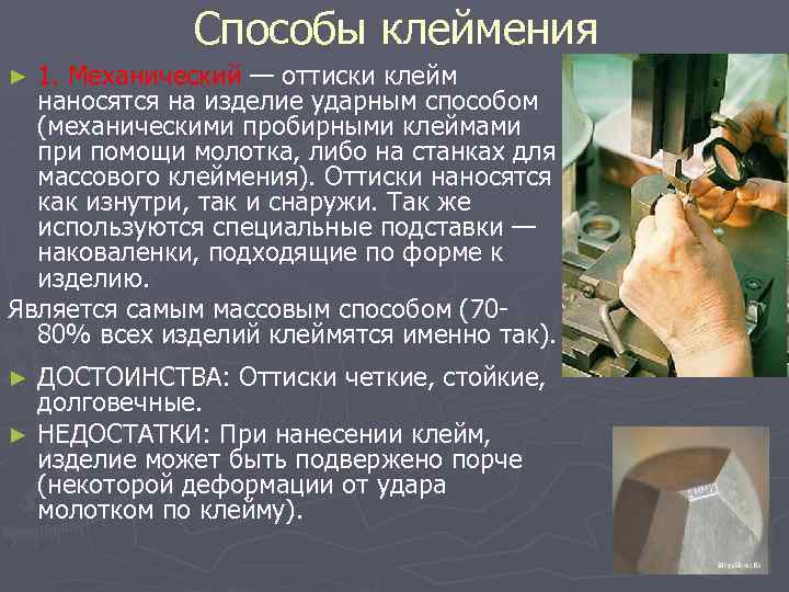 Сроки клеймения