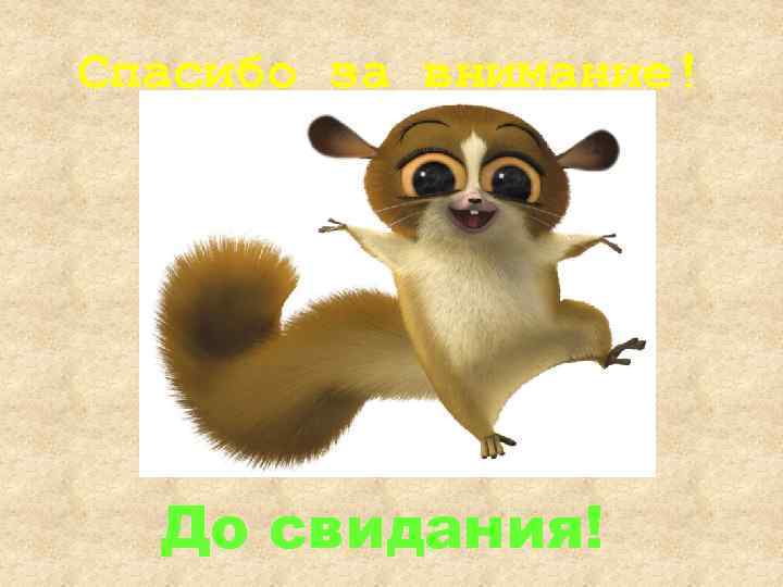 Спасибо за внимание! До свидания! 