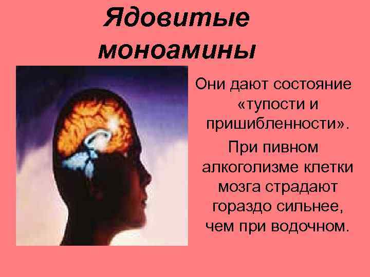 Ядовитые моноамины Они дают состояние «тупости и пришибленности» . При пивном алкоголизме клетки мозга