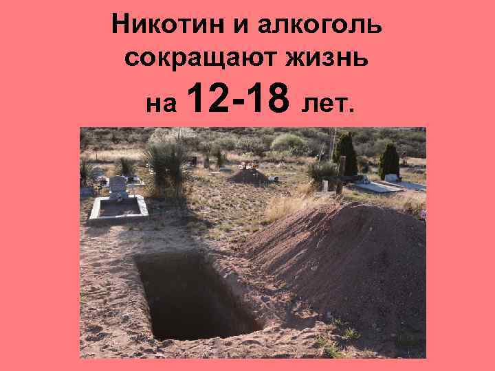 Никотин и алкоголь сокращают жизнь на 12 -18 лет. 