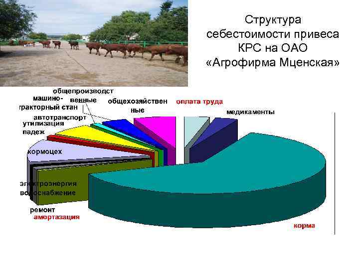 Структура себестоимости привеса КРС на ОАО «Агрофирма Мценская» 