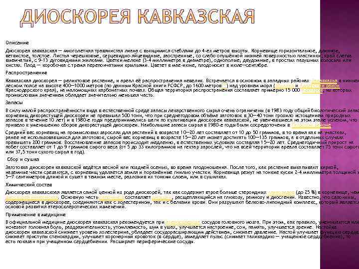 Описание Диоскорея кавказская — многолетняя травянистая лиана с вьющимися стеблями до 4 -ех метров