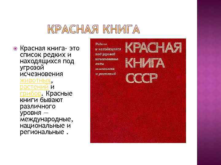  Красная книга- это список редких и находящихся под угрозой исчезновения животных, растений и