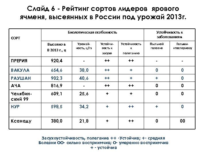 Слайд 6 - Рейтинг сортов лидеров ярового ячменя, высеянных в России под урожай 2013