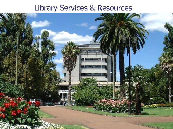 Library Services & Resources 