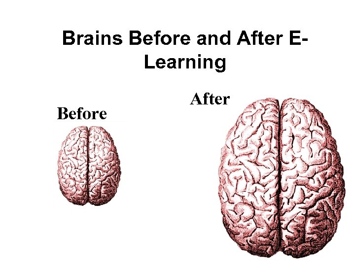 Brains Before and After ELearning Before After 